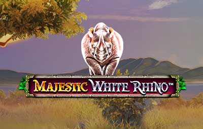 Majestic White Rhino